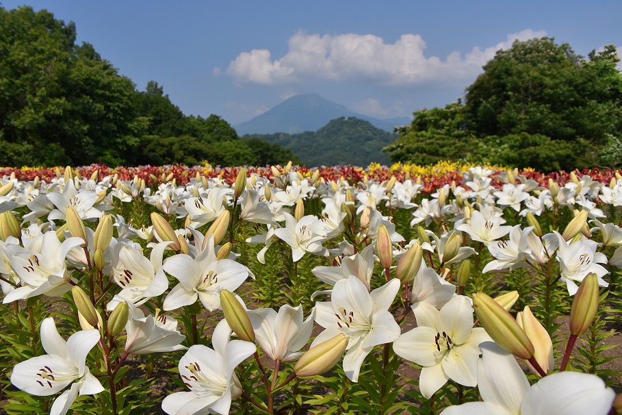 Taman di Jepang