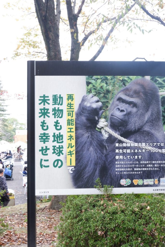 Kebun Binatang di Nagoya