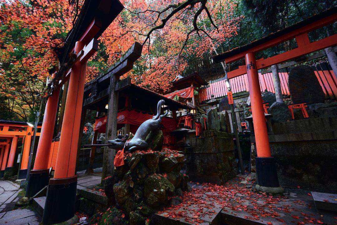 wisata Jepang ke Fushimi Inari Taisha di musim semi