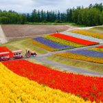 tempat wisata di hokkaido