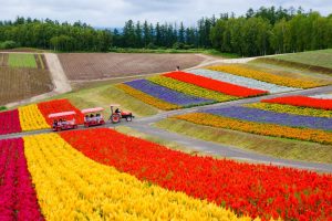 tempat wisata di hokkaido